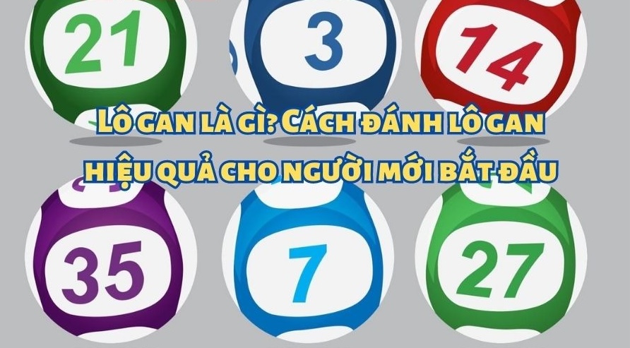 bí quyết đánh lô gan hiệu quả