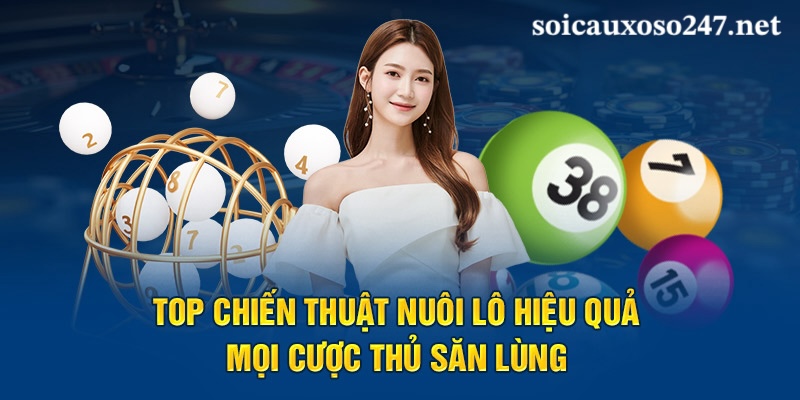 chiến thuật nuôi lô hiệu quả năm 2024