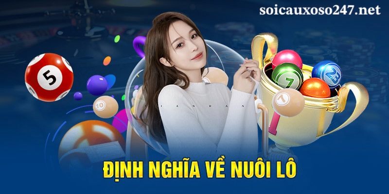 định nghĩa về nuôi lô khung