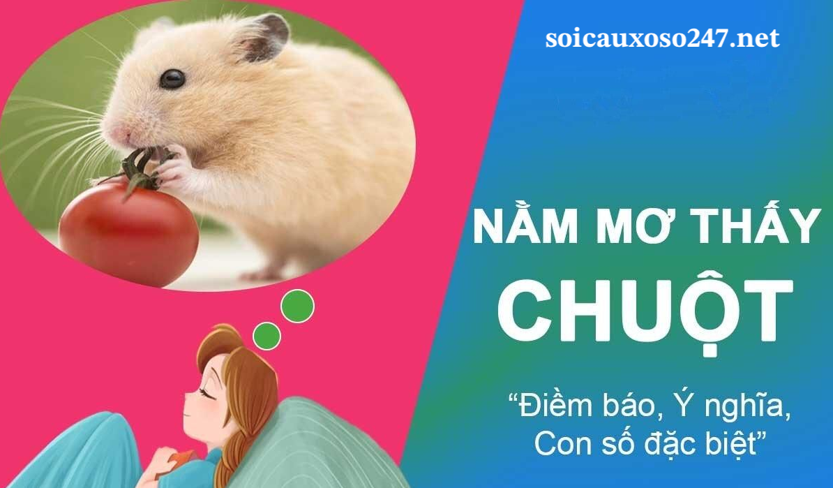 mơ thấy con chuột đánh số gì