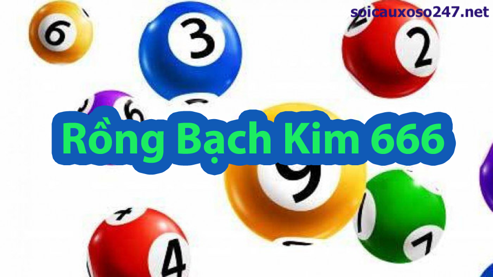 rồng bạch kim 666 miền bắc