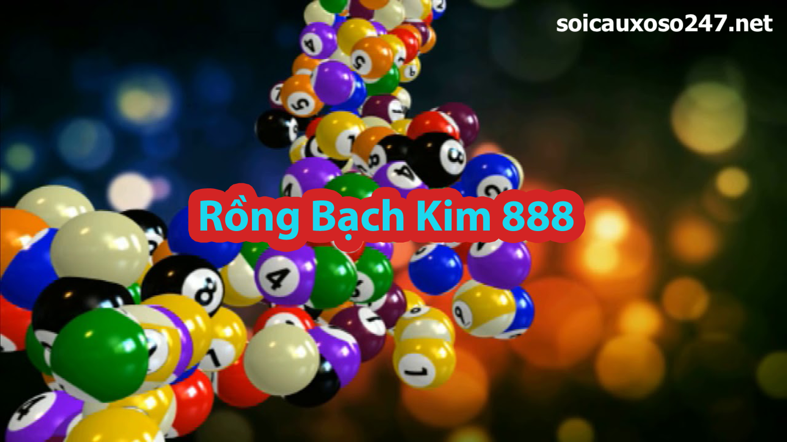 rồng bạch kim 888