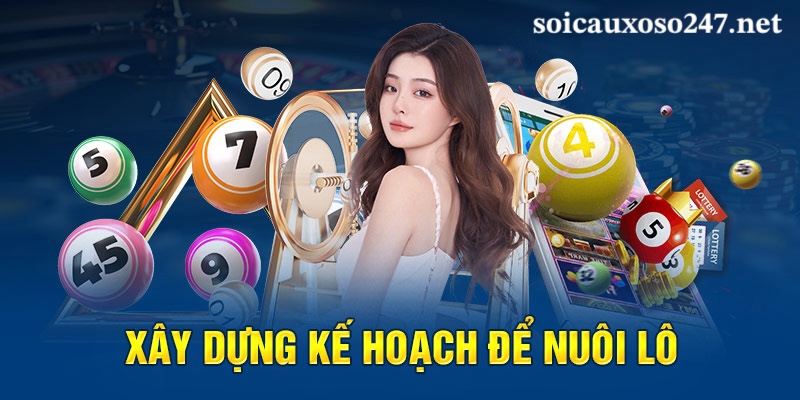 xây dựng kế hoạch nuôi lô khung