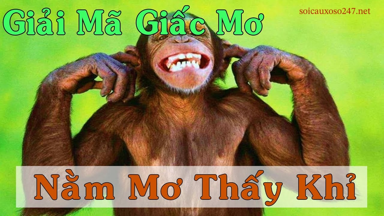 mơ thấy con khỉ đánh số gì