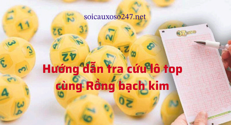 hướng dẫn sử dụng lô top rồng bạch kim